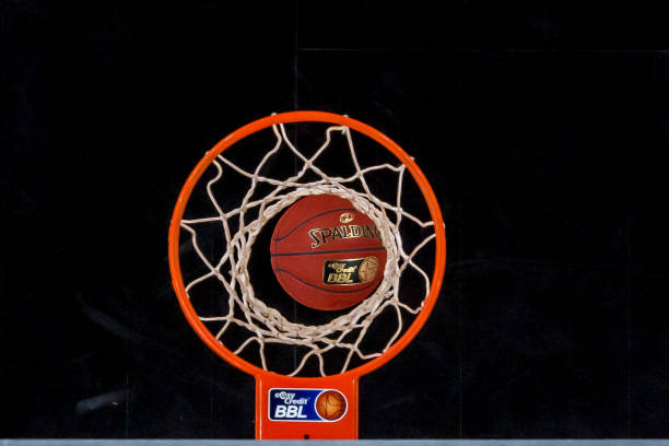 共同经历的 共同经历的